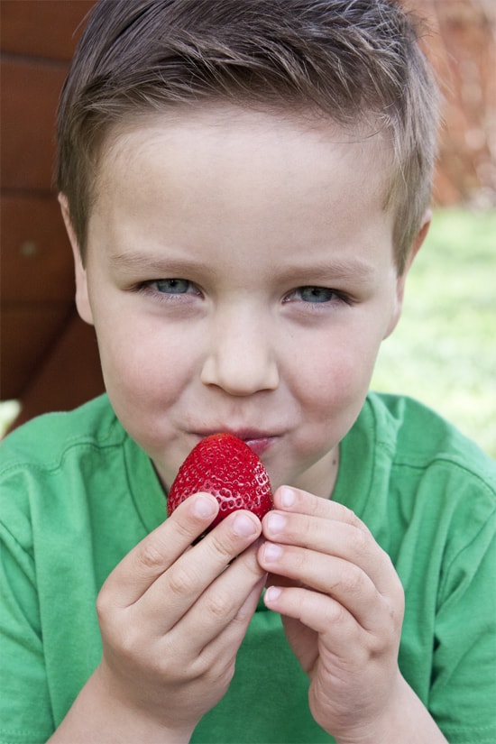 Boy-strawberry