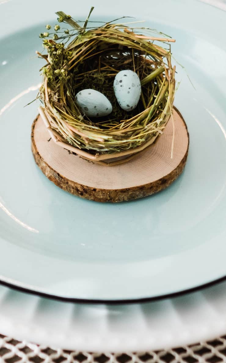 Details about   Miniature Handmade Acorn Cap Bird Nest Blue Eggs Ornament 
