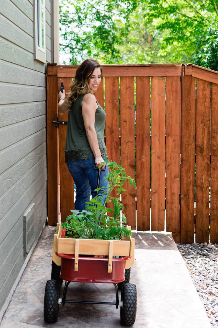 lady pulling red wagon filled with garden plants and walking to backyard garden