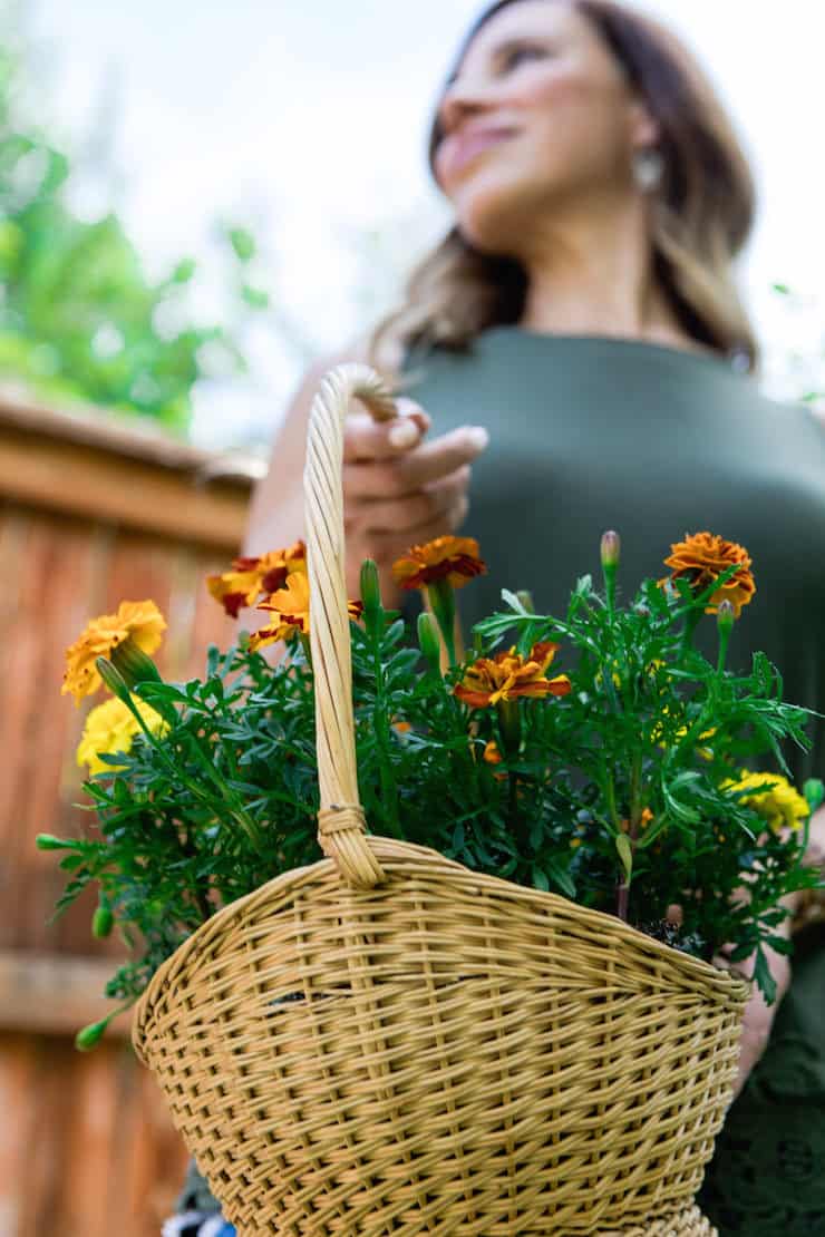 close up of basket holding marigolds to plant