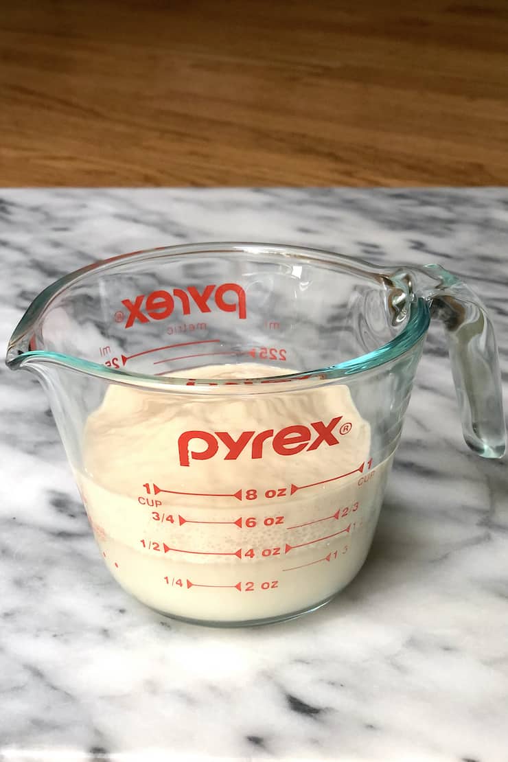 measuring cup with water sugar and active dry yeast showing how to proof active dry yeast