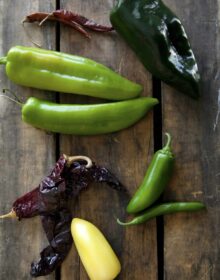 different types of mexican chile peppers