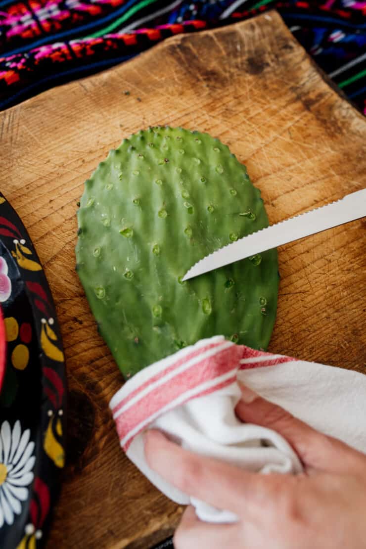 holding a nopal cactus paddle showing how to remove spines with a knife