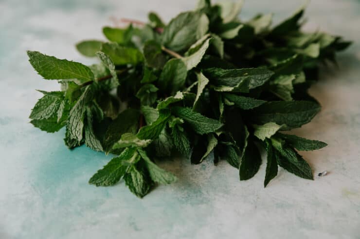 bunch of fresh mint a.k.a. yerba buena on a blue and white table. 