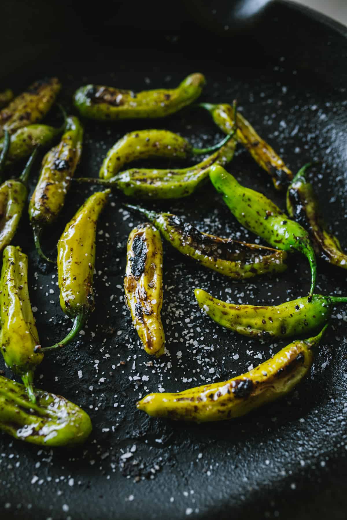 Blistered Shishito Peppers with sea salt in a cast iron skillet.