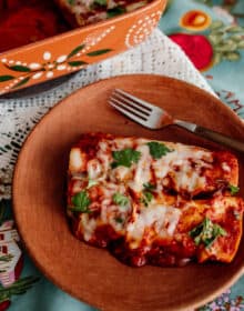 two chicken enchiladas on a terra cotta plate topped with cilantro